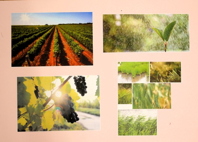 天地創造の神さまが野菜や果物、作られました。