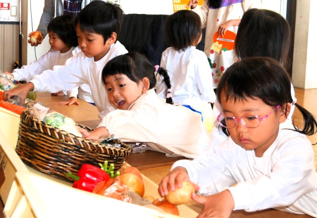 気になる野菜を触ってみよう～