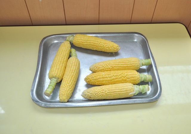 とうもろこしday