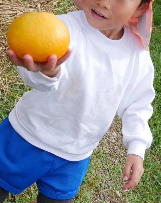 これも、大きいね