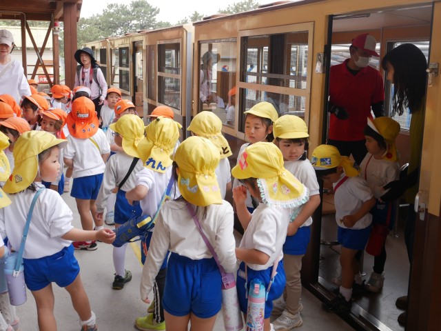 年中組、年長組は、なにわ号に乗りました！