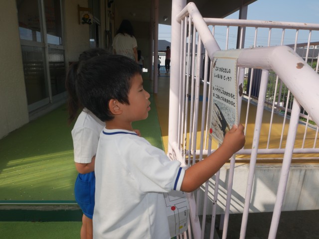 クイズ、どっちかな？