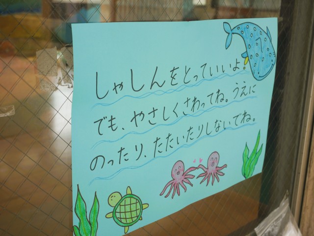 写真撮ってね！