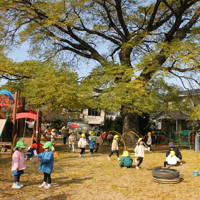 秋のお庭♪黄色の世界