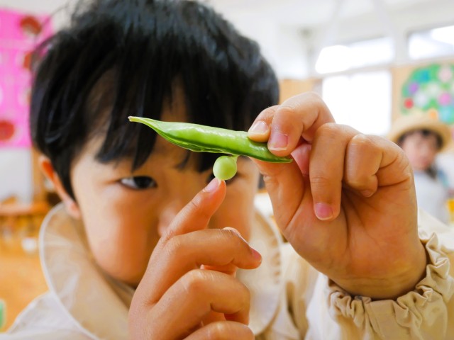 あ！豆がくっついている⁉