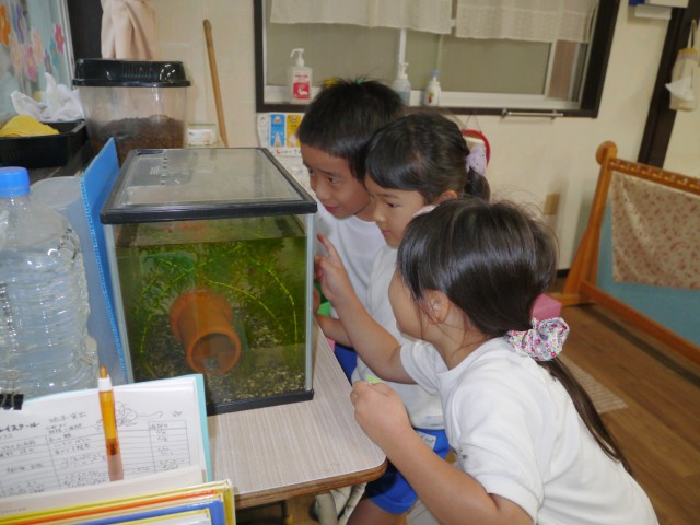 オリエンテーリング