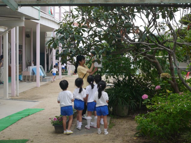 オリエンテーリング