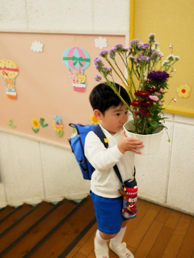 よいしょ！よいしょ！