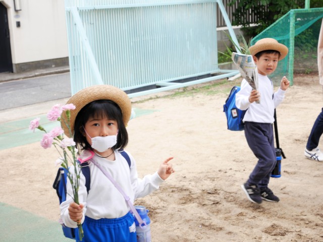 おうちから持ってきたお花✿