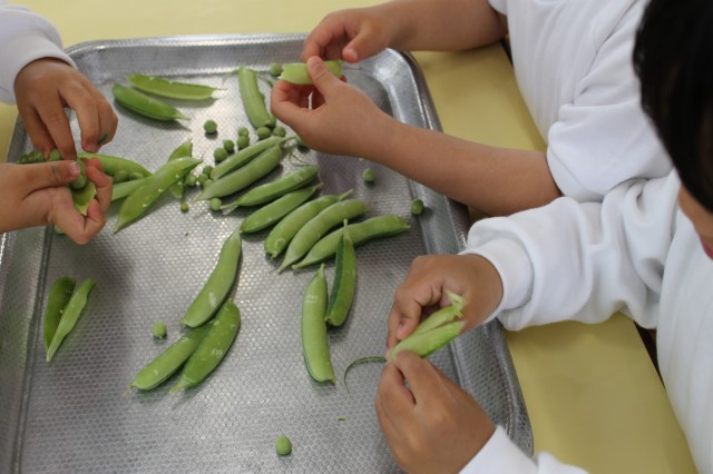 さやえんどうの皮むきをしたよ