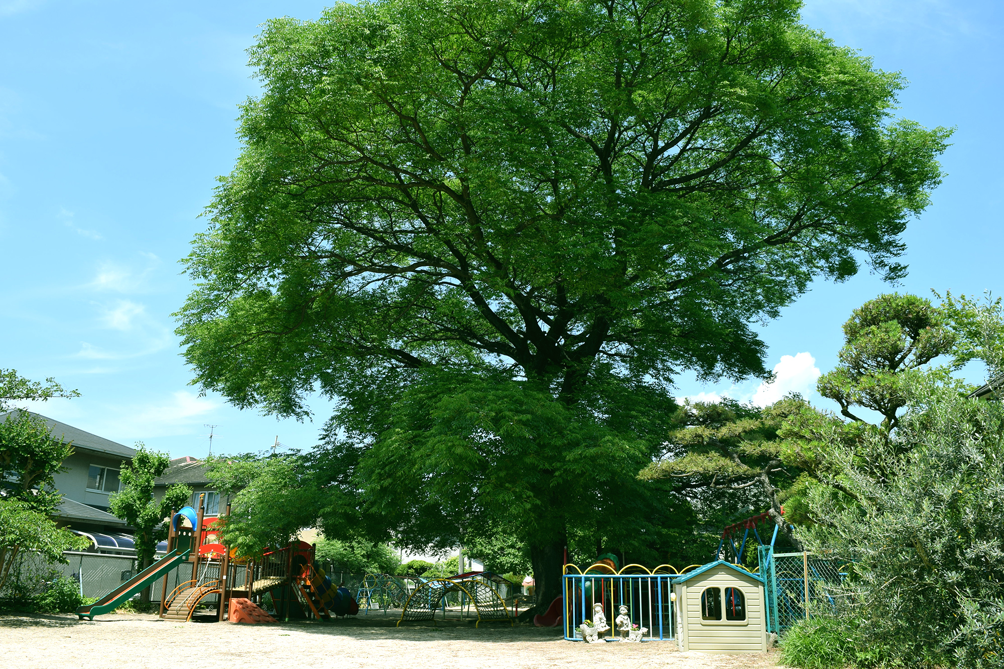 浜寺聖書幼稚園