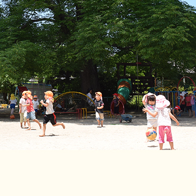 教育理念 園長からのご挨拶